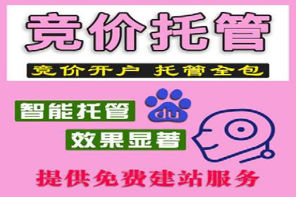 竞价托管sem的胜利果实：某零售商的营销策略